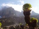 Sirimon Route - stoupn k Shiptons Camp