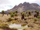 Chogoria Route - sestup k Mintos Camp u jezer Hall Tarns