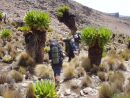 Chogoria Route - sestup k Mintos Camp u jezer Hall Tarns