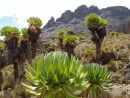 Chogoria Route - sestup k Mintos Camp u jezer Hall Tarns
