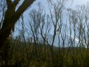 Machame Route - Krter Kibo z Machame Rout