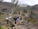Machame Route - stoupn k Shira Camp