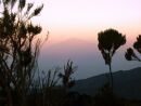 Machame Route - Mt.Mera ze Shira Campu