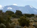Machame Route - Krter Kibo od Shira Campu