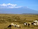 Kilimanjaro od jihozpadu