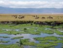 Tanznie - NP Ngorongoro