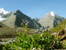 Na sedle Shingo La (5060m/m)