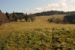 Vakovy paseky