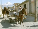 Pico de Orizaba  z vesniky Tlachichuca