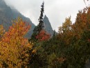 Mnich