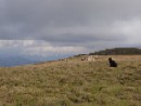 Zvren sek hlavnho hebene Fagarae a pohled na Piatra Craiului