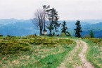  POLSK KARPATY 2008 